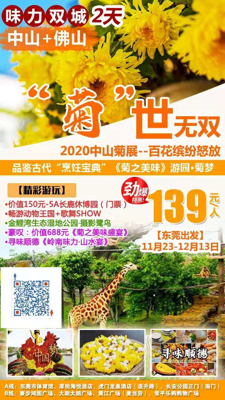 东莞出发“菊”世无双~2020中山菊展来啦~百花怒放等你来，畅游佛山&amp;中山双城2天，长鹿农庄~寻乐顺德，品味菊花(图2)