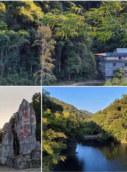 20210101河源第一高山桂山风景区+网红桥 入住纯天然温泉*荣佳国韵温泉度假村2天(图2) 20210101河源第一高山桂山风景区+网红桥 入住纯天然温泉*荣佳国韵温泉度假村2天(图2)