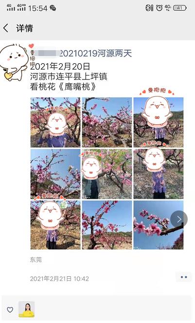20210219【河源】住巴伐利亚庄园全新悠然酒店(福源寺、欧亚小镇、莱茵河灯光秀)、赏十里桃花、万里桃园鹰嘴桃基地、桃(图6) 20210219【河源】住巴伐利亚庄园全新悠然酒店(福源寺、欧亚小镇、莱茵河灯光秀)、赏十里桃花、万里桃园鹰嘴桃基地、桃(图6)