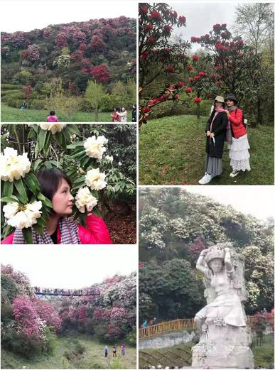 20210325爽爽贵州 Hello杜鹃6天5晚一行6人(图6) 20210325爽爽贵州 Hello杜鹃6天5晚一行6人(图6)
