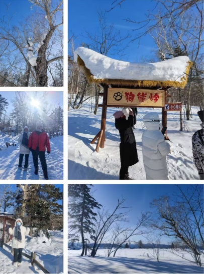 20250228冰城哈尔滨、中国童话雪乡、亚布力滑雪、雪山寒地温泉、网红无人机雪乡360°全景旅拍品质6日游(图13)